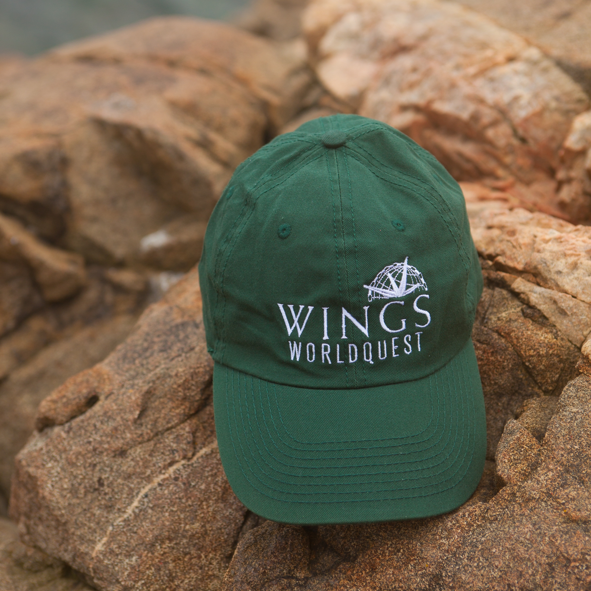 WINGS_merch-4.jpg