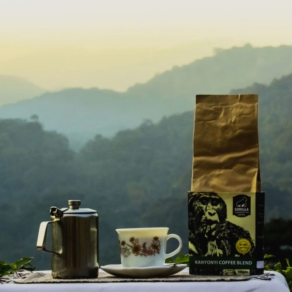 Gorilla-Conservation-Coffee-Coffee-and-view-of-Bwindi.web_.jpg