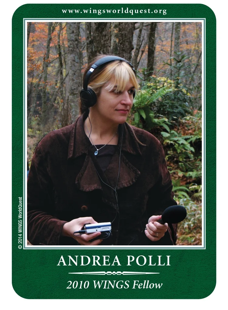 Polli_back.jpg