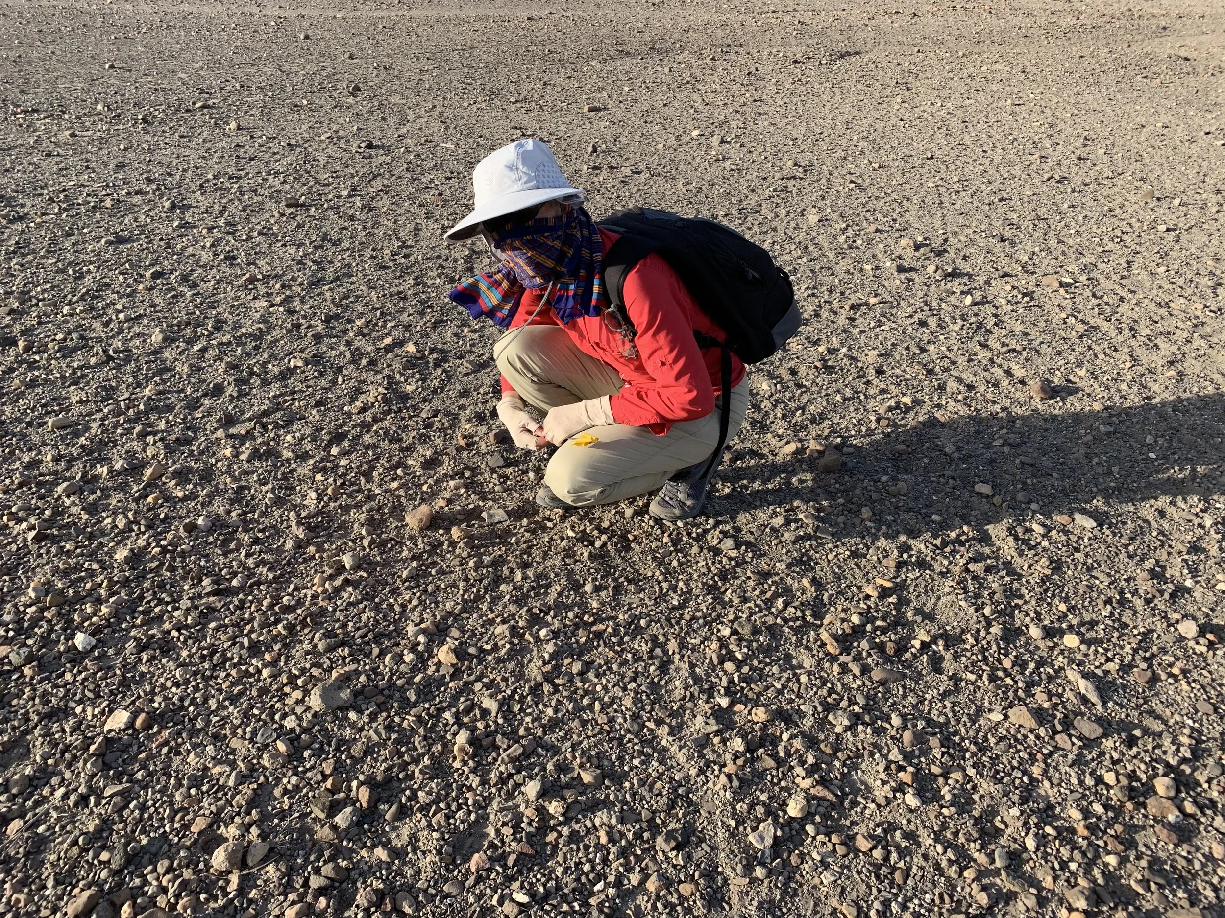 Below the Skin with Nina Jablonski