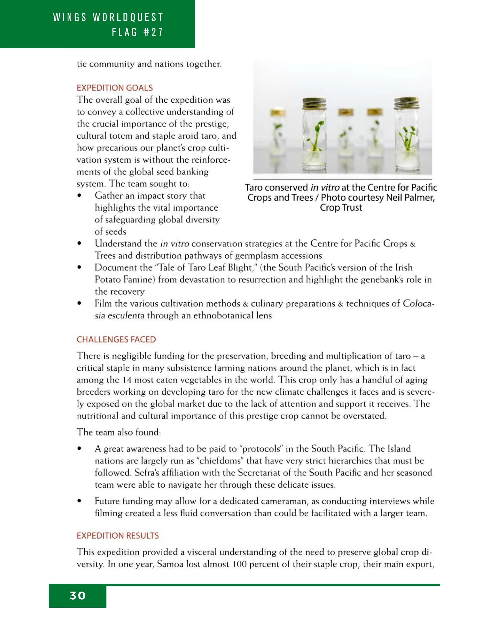 2019 Year in Review_compressed_0031.jpg