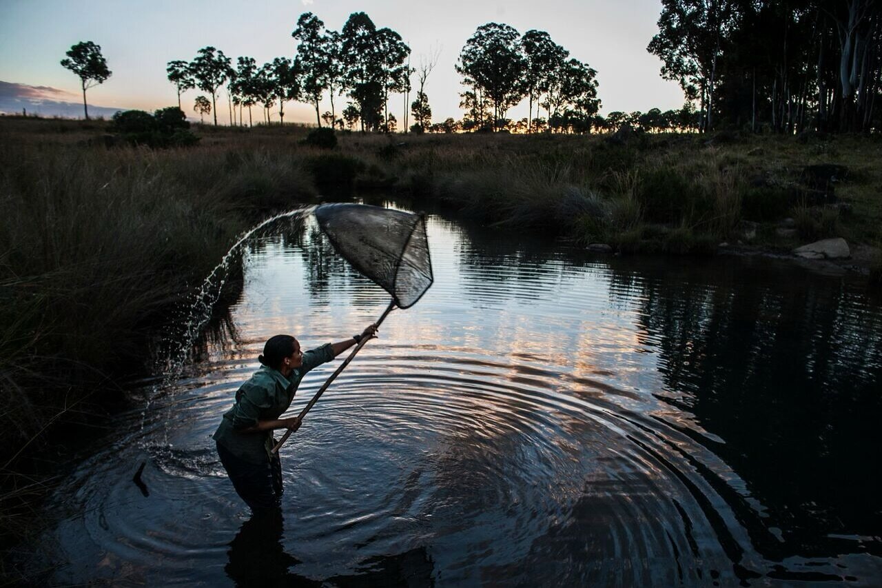 Happy #WorldWetlandsDay! 2022 WINGS Fellow Adjany Costa has done extrodinary community-based research on the conservation of the Andgolan wetlands, whose waters feed into the Okavango River Basin - the main source of water for a million people and an
