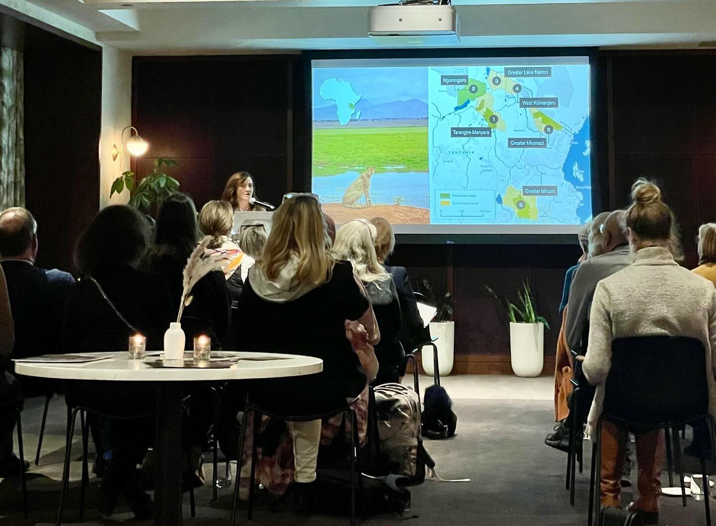 Thank you to everyone who attended Dr. Laly Lichtenfeld&rsquo;s Explorer Talk last week! Laly shared her journey in the world of big cats in Tanzania!🐆🦁

Don&rsquo;t forget to sign up for our upcoming Explorer Talk with Dr. Karen Strier! Buy your t