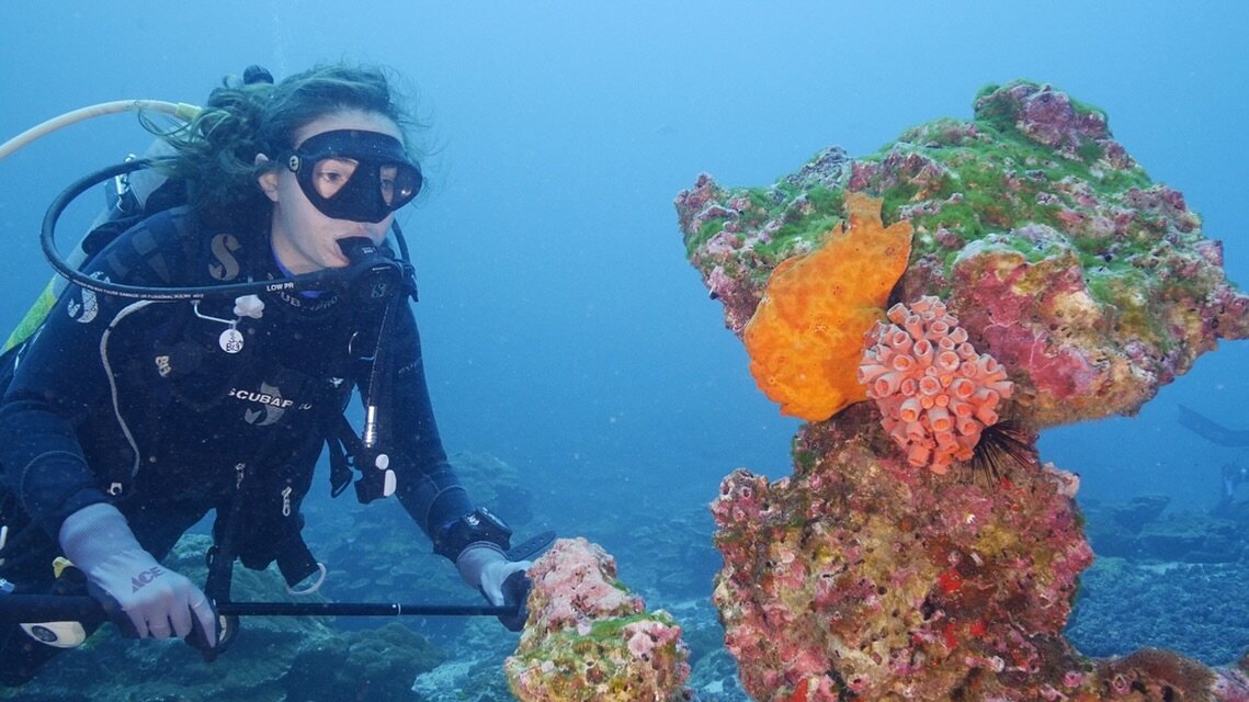 Congrats to Flag Carrier Callie Veelenturf who was awarded the ✨ @universityofri College of Life Science&nbsp;2024 10 Under 10 Award&nbsp;&amp; @the_explorers_club 2024 New Explorer of the Year✨; for her work in exploring new legal pathways to protec