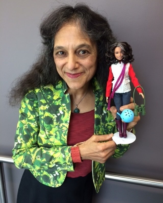 2018 Fellow Nalini Nadkarni had the original idea for creating the Explorer Barbies line in 2004 when she first approached Mattel. But, it took until 2021 for them to create the Explorer Barbies, geared toward inspiring more girls to enter the STEM f