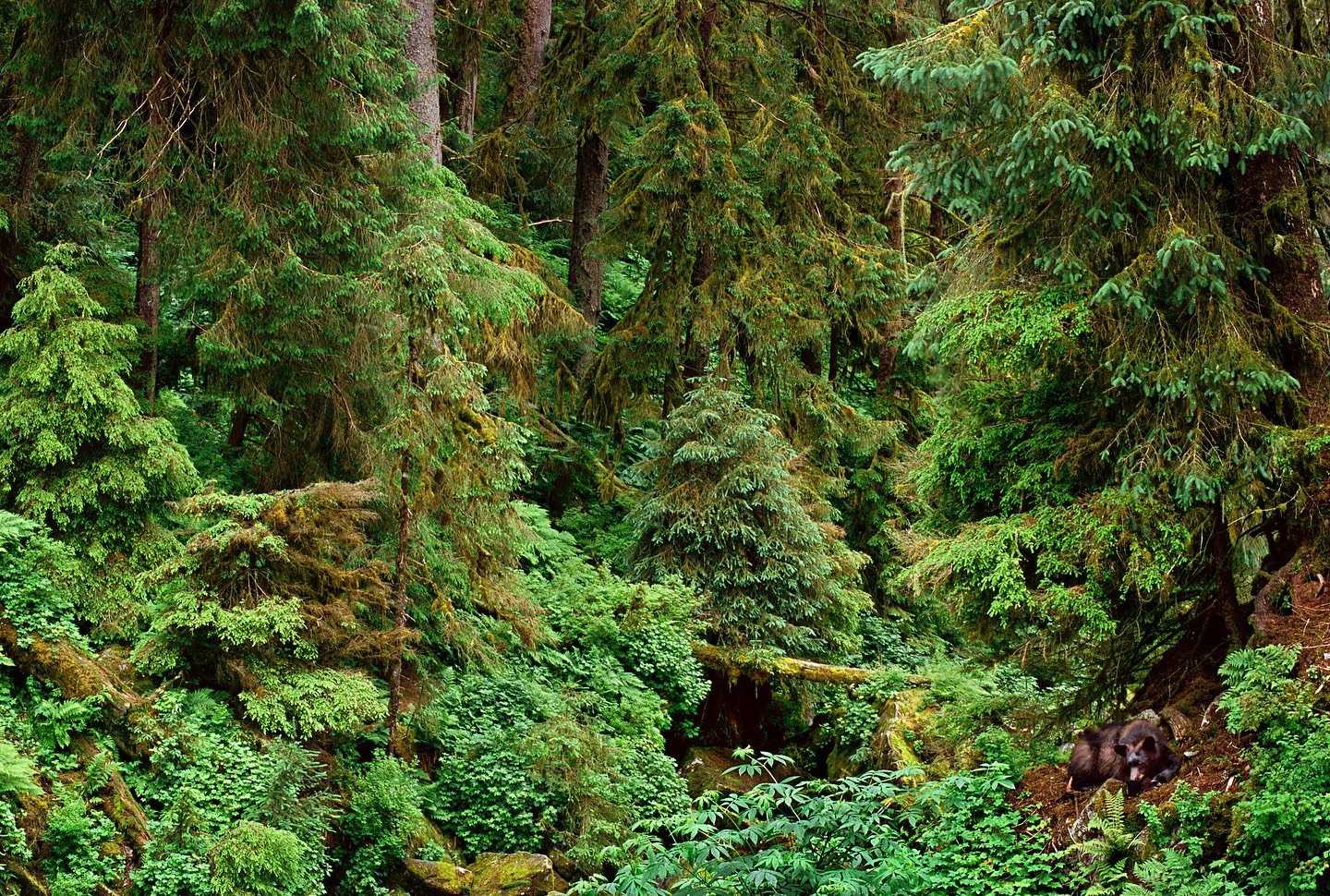 #EarthDay is our annual reminder to cherish the planet we call home. Let&rsquo;s celebrate Earth Day by appreciating its wonders and taking steps to protect it for generations to come! 🌏💚 We are so proud of our WINGS Women of Discovery and all the 