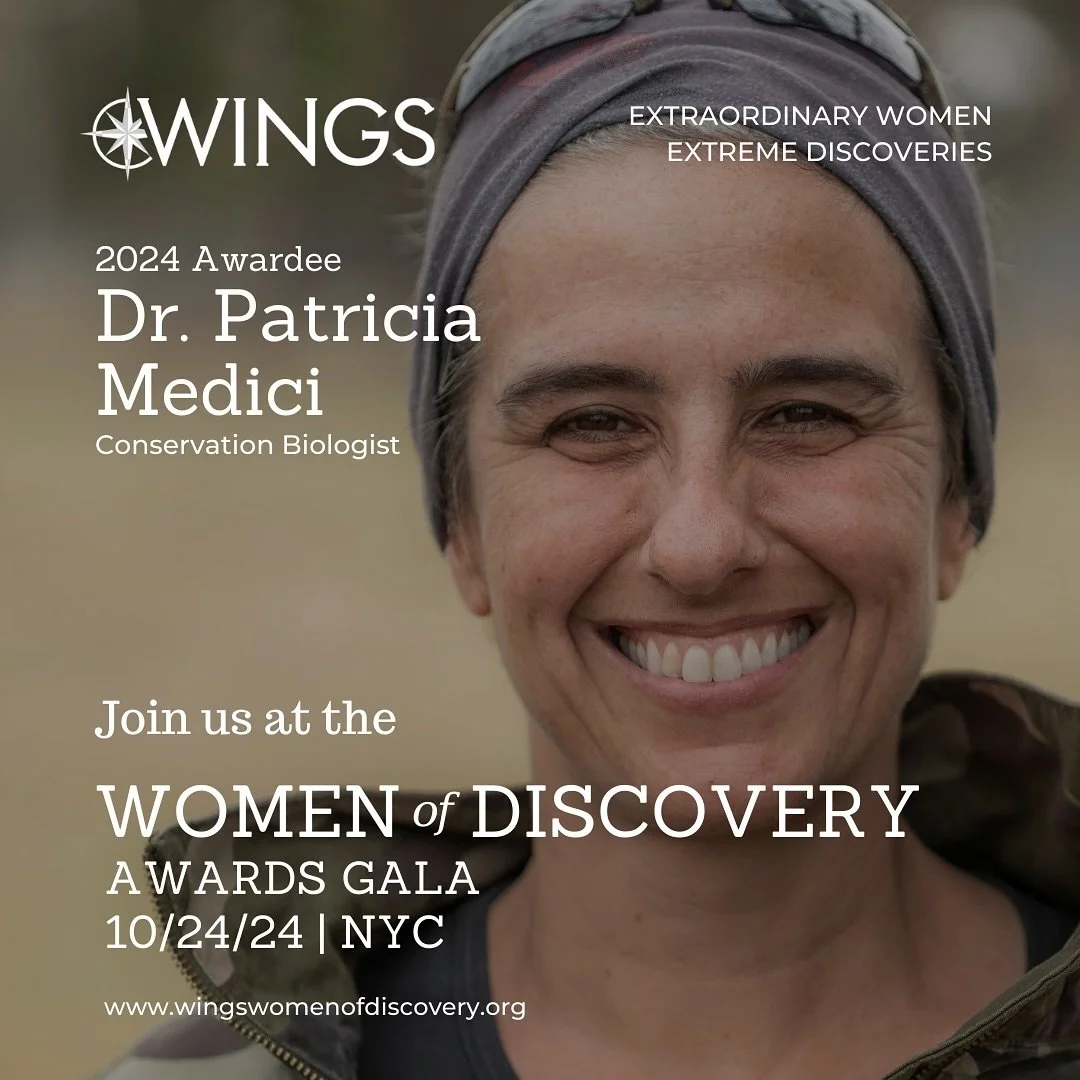 We&rsquo;re proud to recognize @epmedici as one of this year&rsquo;s WINGS Women of Discovery Award winners, for her innovative tapir conservation initiatives in Brazil. Known as the &ldquo;gardeners of the forest,&rdquo; tapirs play an indispensable