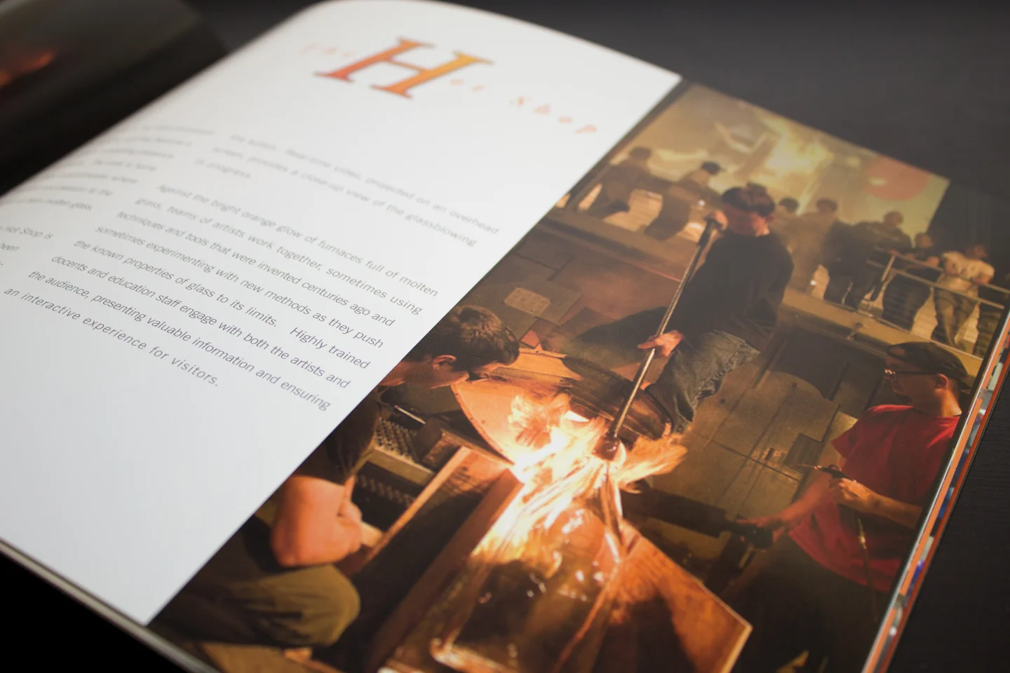 Museum Launch Celebration Book