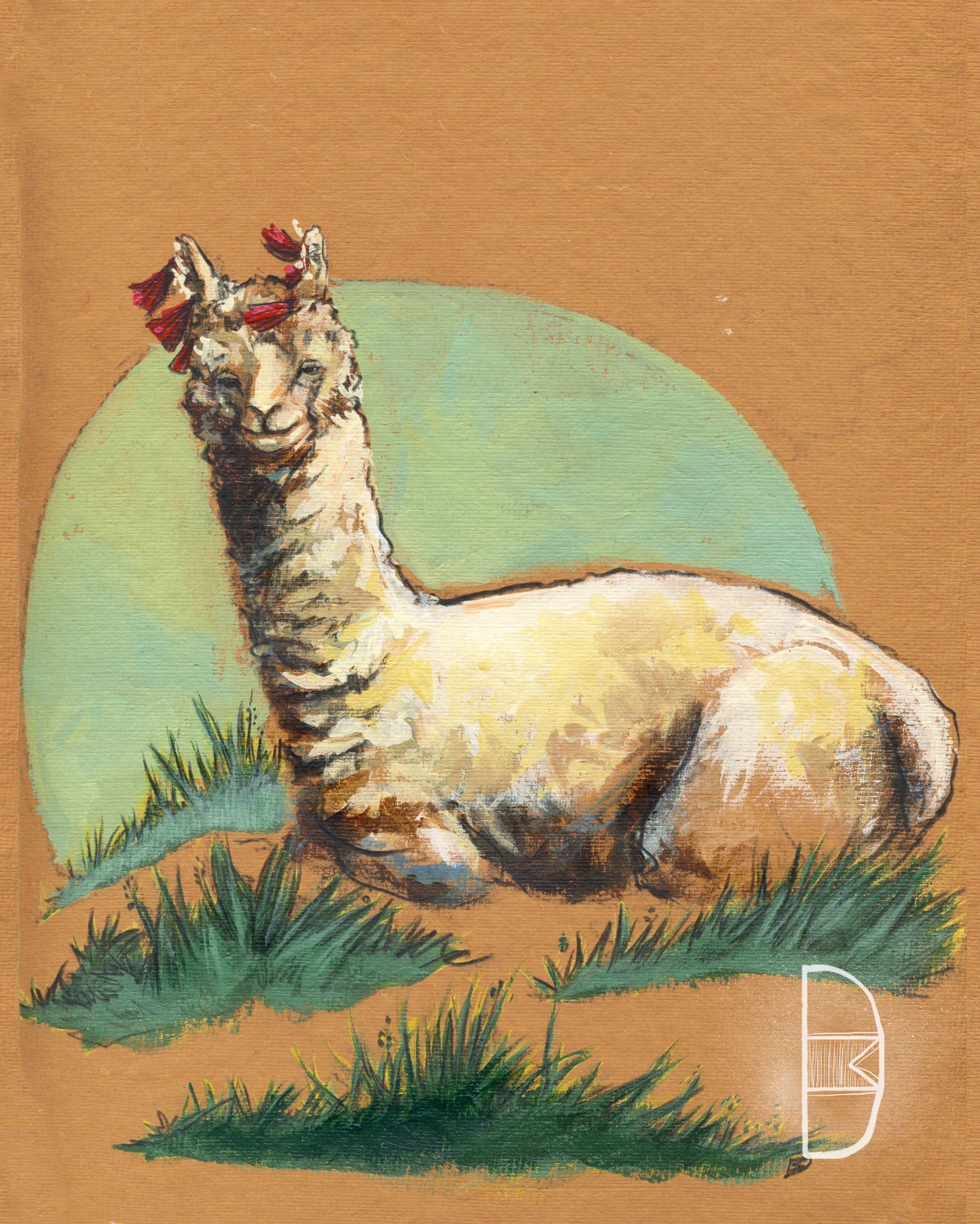 ChillenAlpaca.jpg