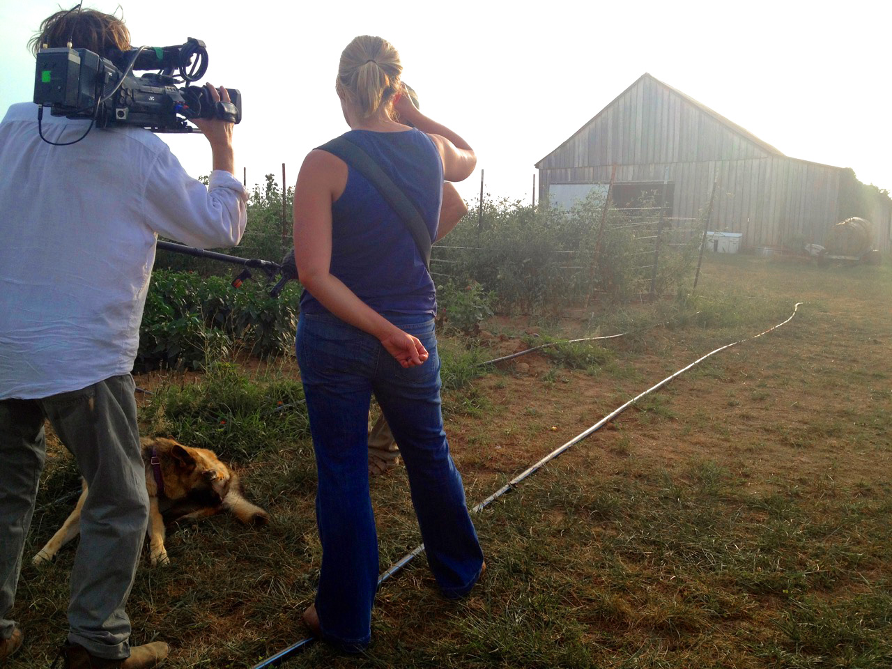 D.P. Lee Daniel and Laura Dunn interviewing Henry County farmers