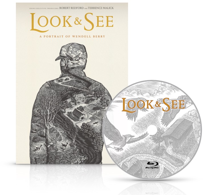 Look and See DVD Face and Disc.jpg