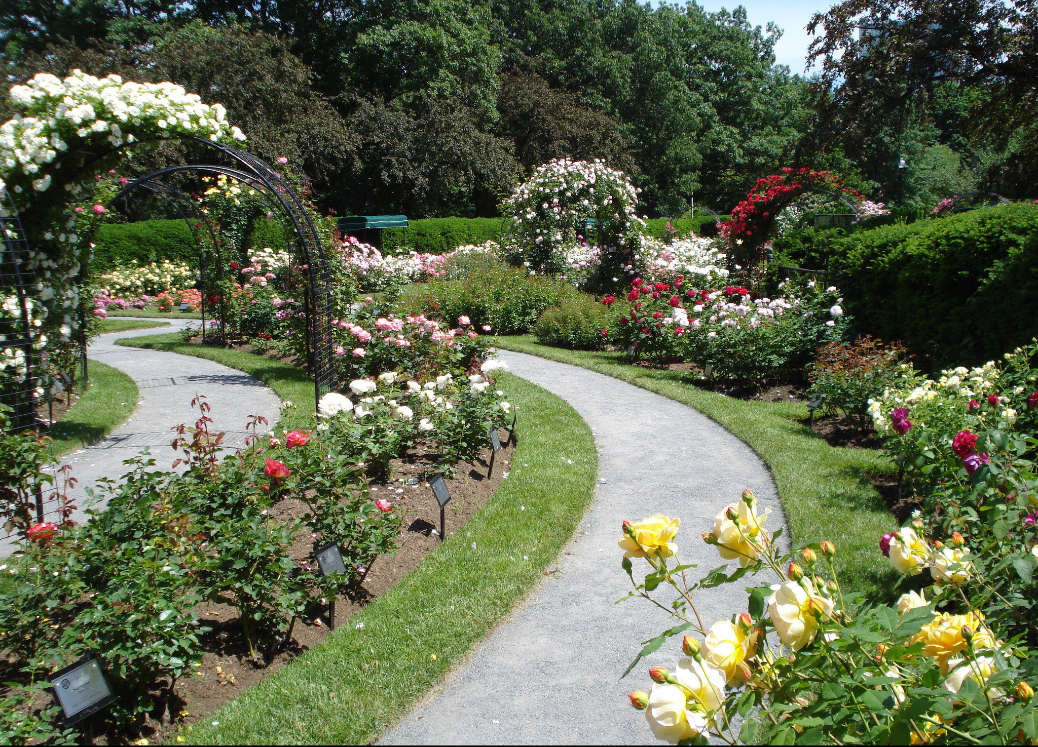 Rose Garden.jpg