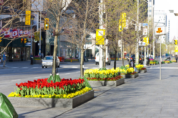 Wide granite sidewalks will adorn the street around The One, as well as the adjacent neighbourhood. Photo: www.bloor-yorkville.com