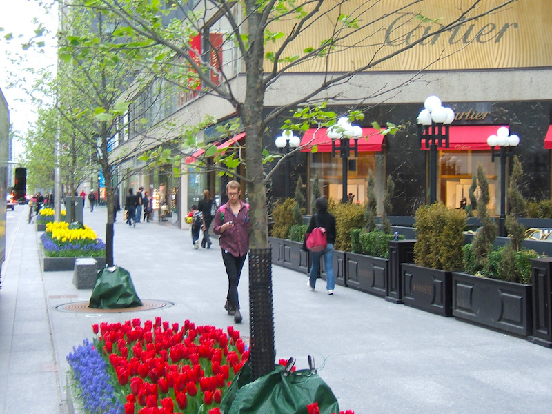 (bloor street west in toronto. photo: Square With Flair ) 
