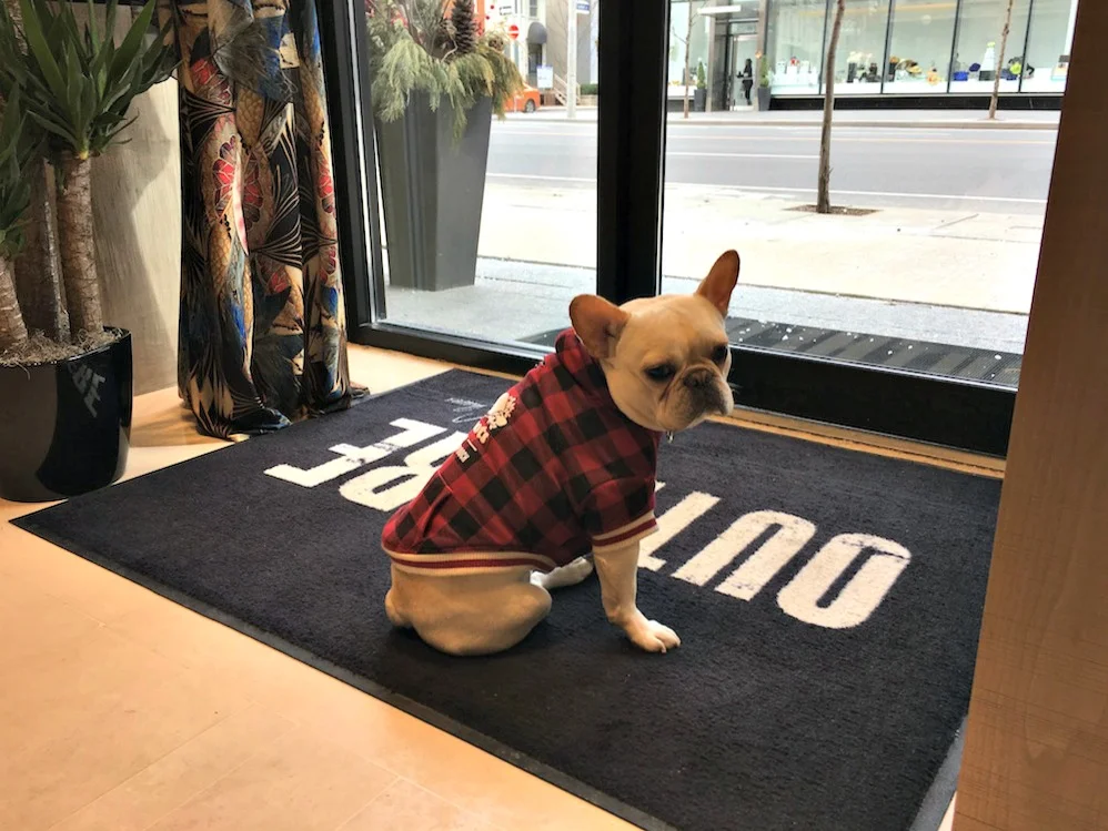 (Bento standing guard at the entrance to the store)&nbsp;