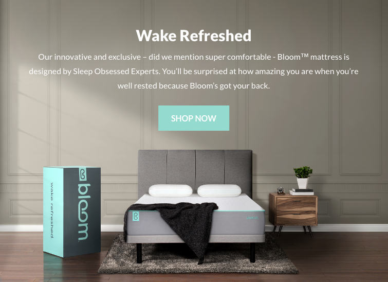 (screen capture from sleep country canada's website) 