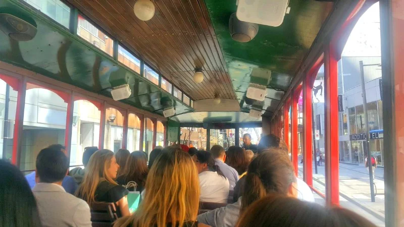 (toronto bus tour. photo: darryl Julot)&nbsp;
