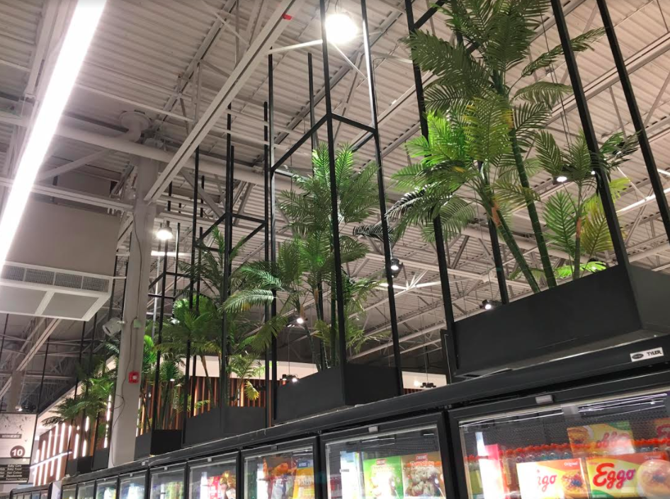 (Palm trees and soaring ceilings -- it's not often that a grocery store has such a sense of drama. Photo: Craig Patterson)&nbsp;