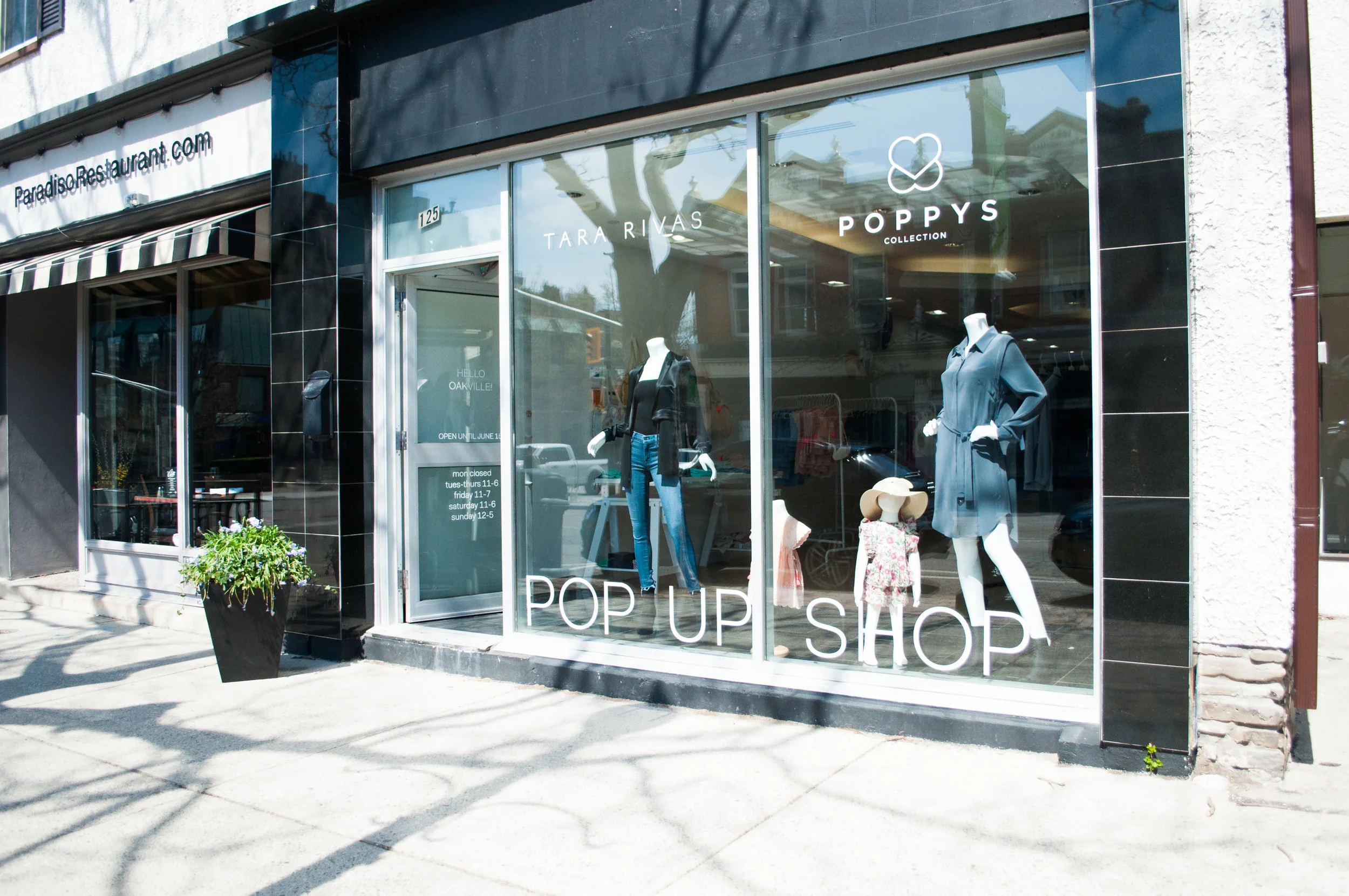 pop-up-22.jpg