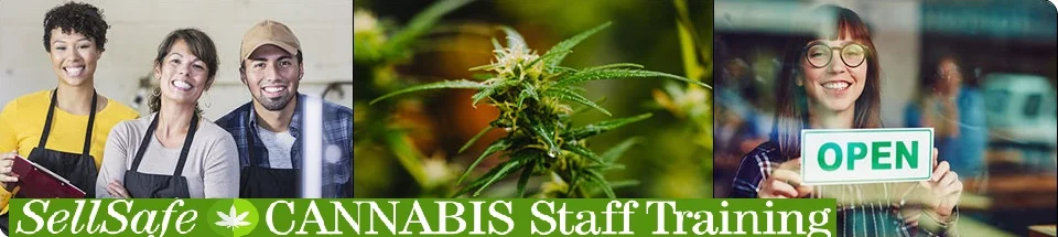 SellSafe program &nbsp;website