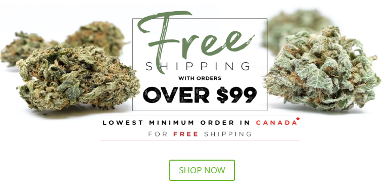 BuyMyWeedOnline.ca Website