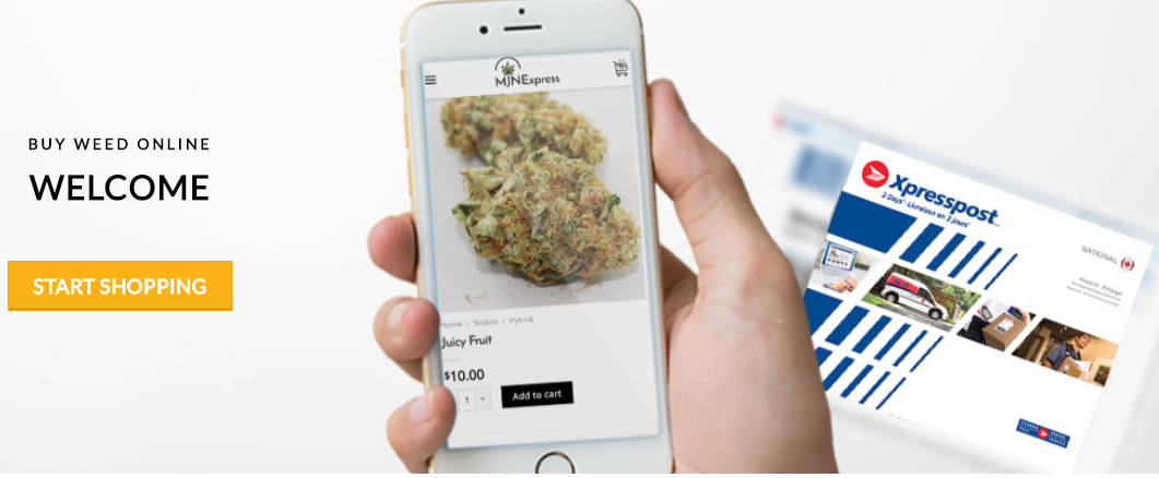 MJNExpress website f