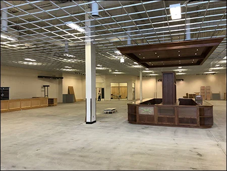 Showroom (August)