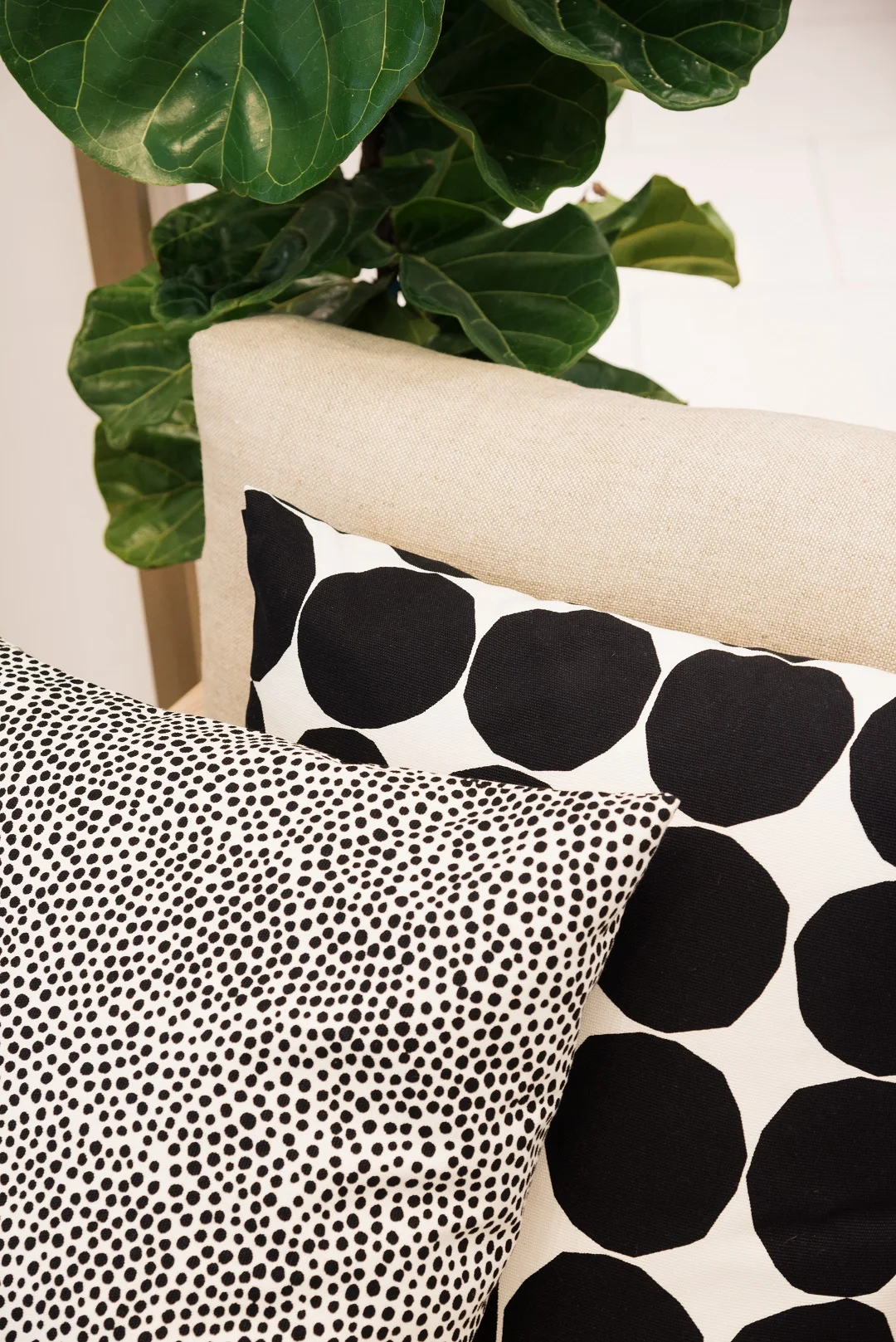 GFrank_SimonsMarimekko-8.jpg