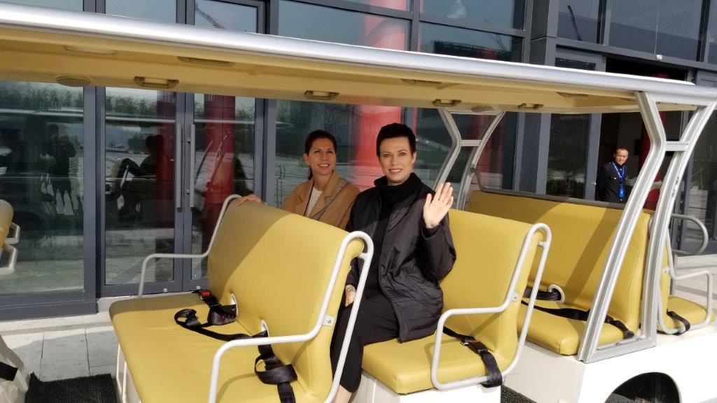 Electric Cart Transit