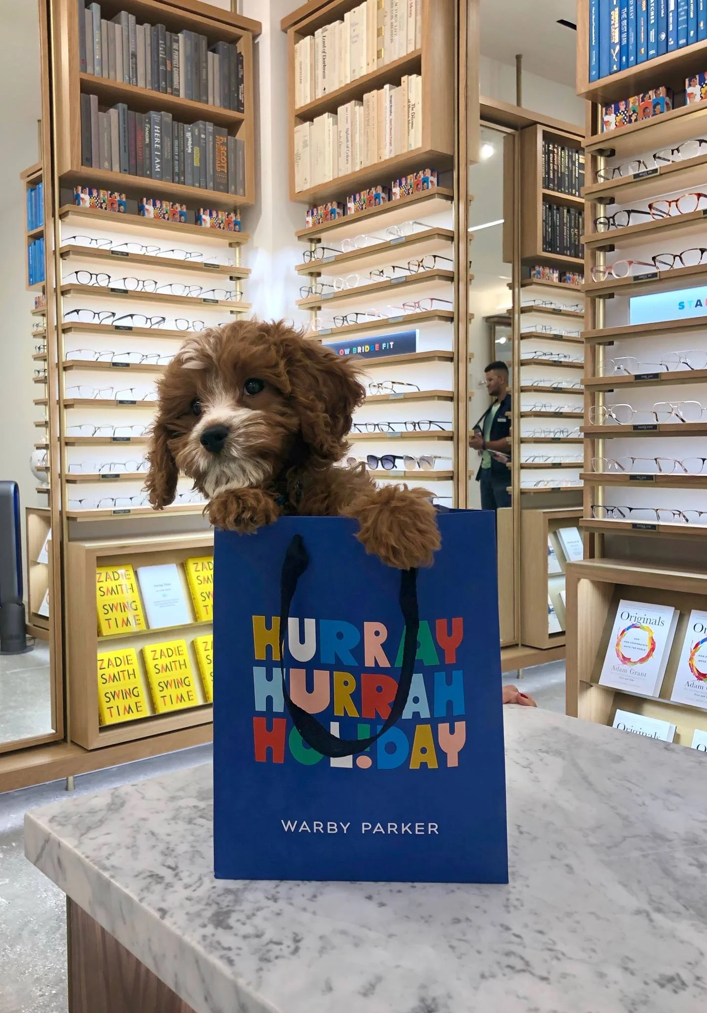 Photo: Warby Parker Facebook