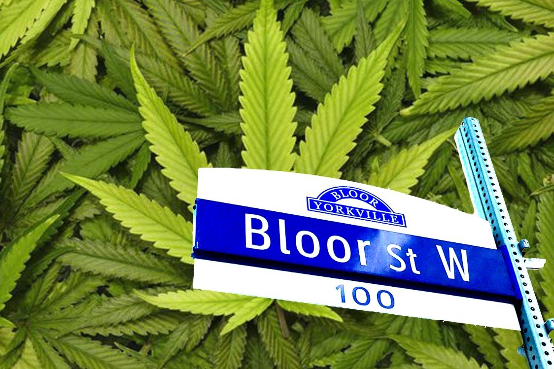 Cannabis Retail Comes to the Mink Mile