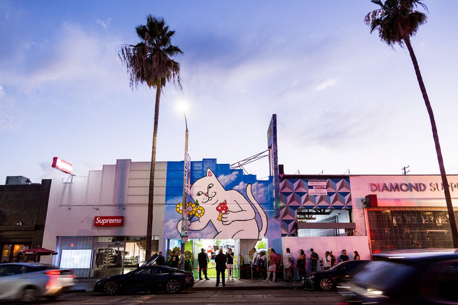 Ripndip (1).jpeg