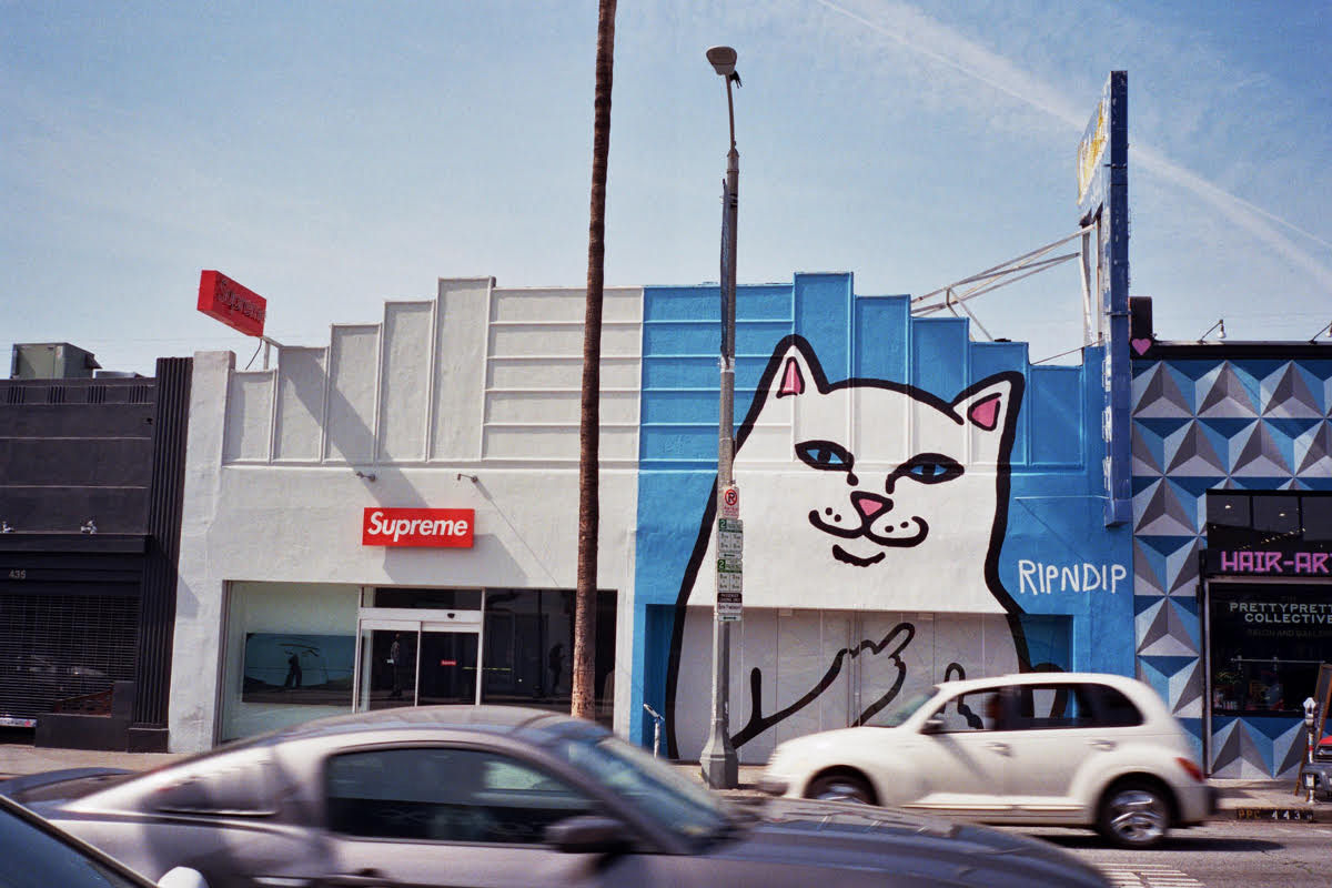 Ripndip (1).jpeg