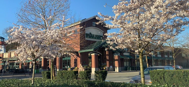  Whole Foods Market (within The Village at Park Royal) 