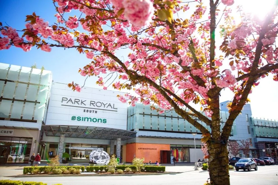 Park Royal Center Continues to Add Retailers and Tenants Amid Rapid Revenue Growth