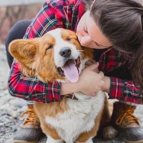 LLBEANdog_FB.jpg