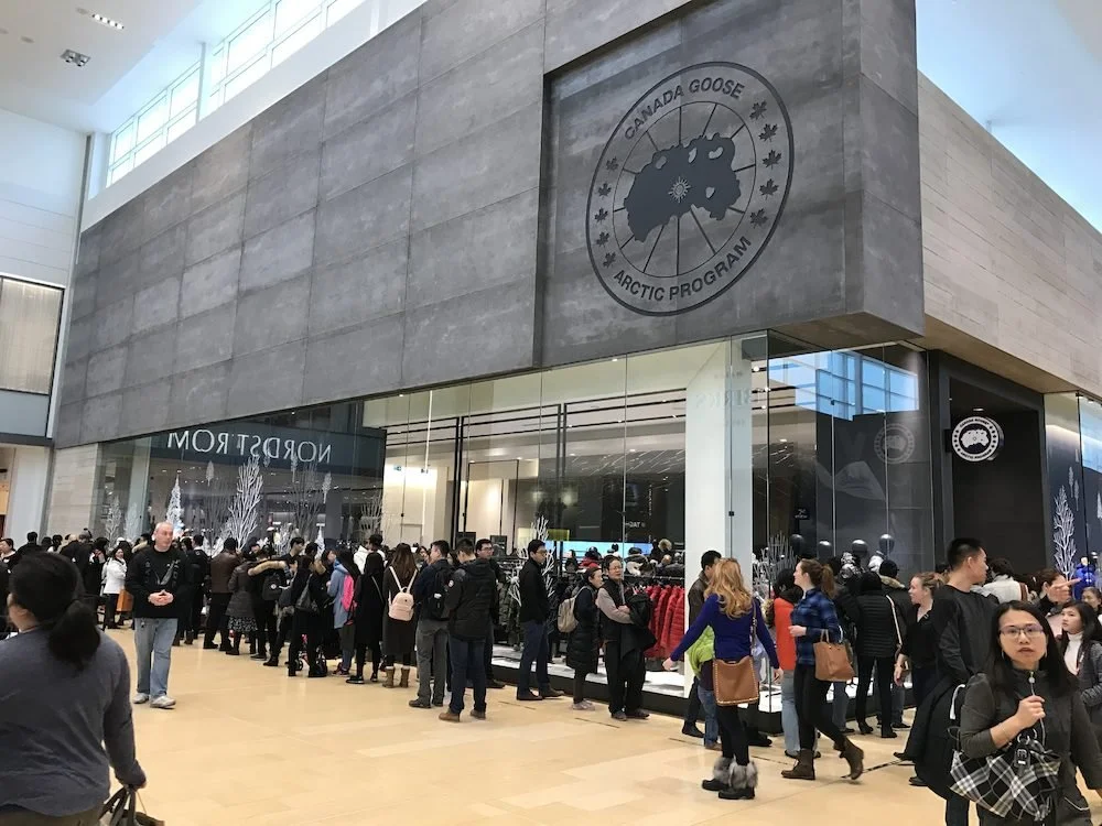 photo: canada goose, yorkdale