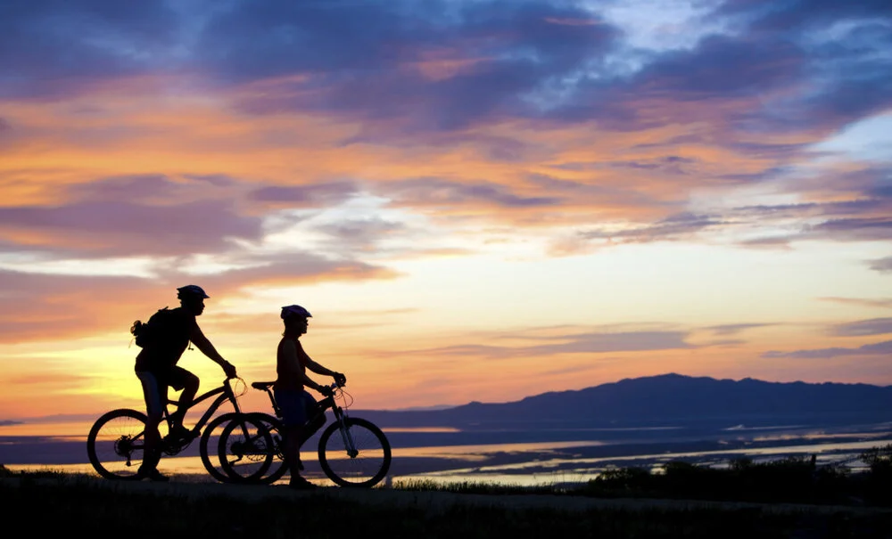 image: reckless bikes