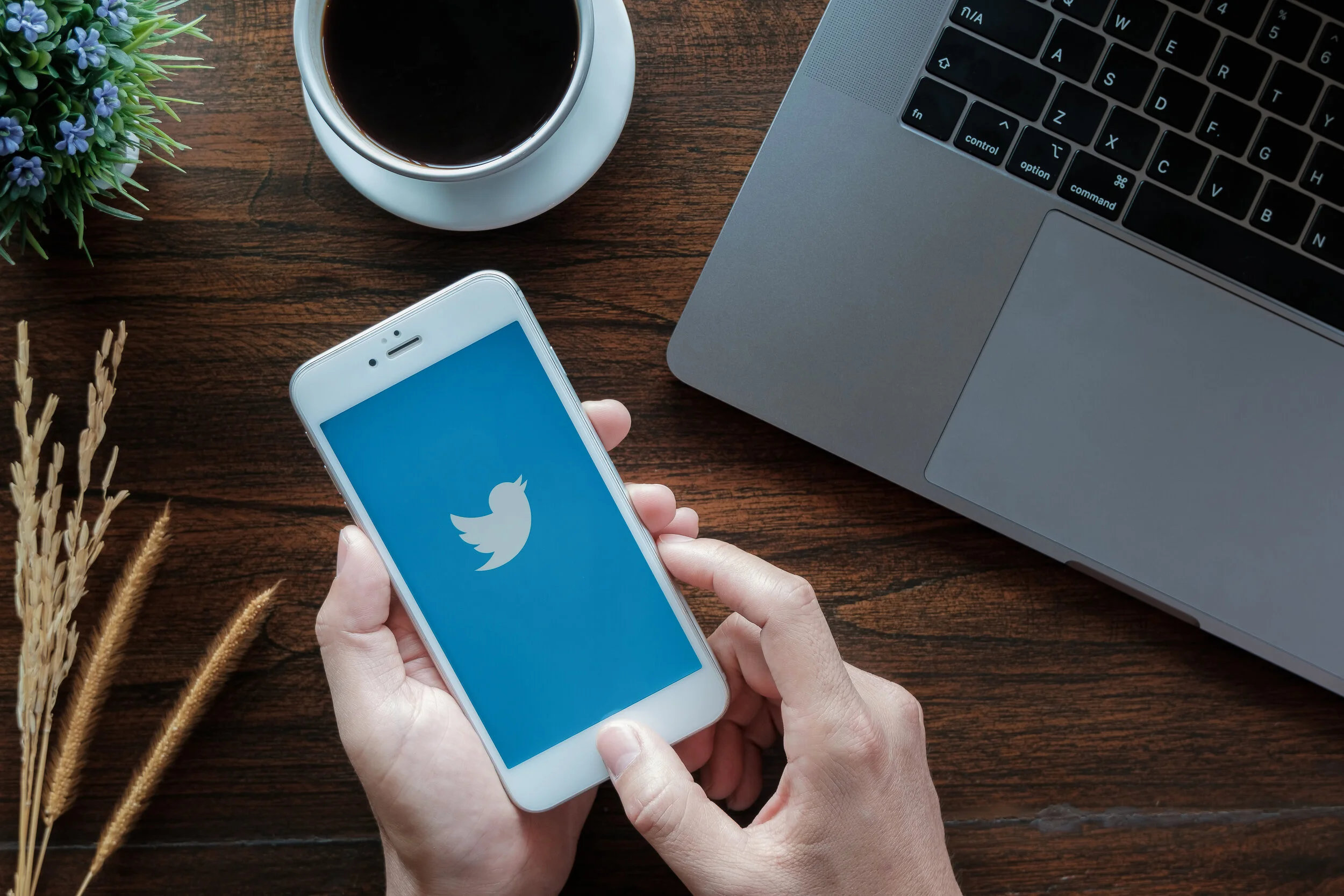 the twitter app open on an iphone .