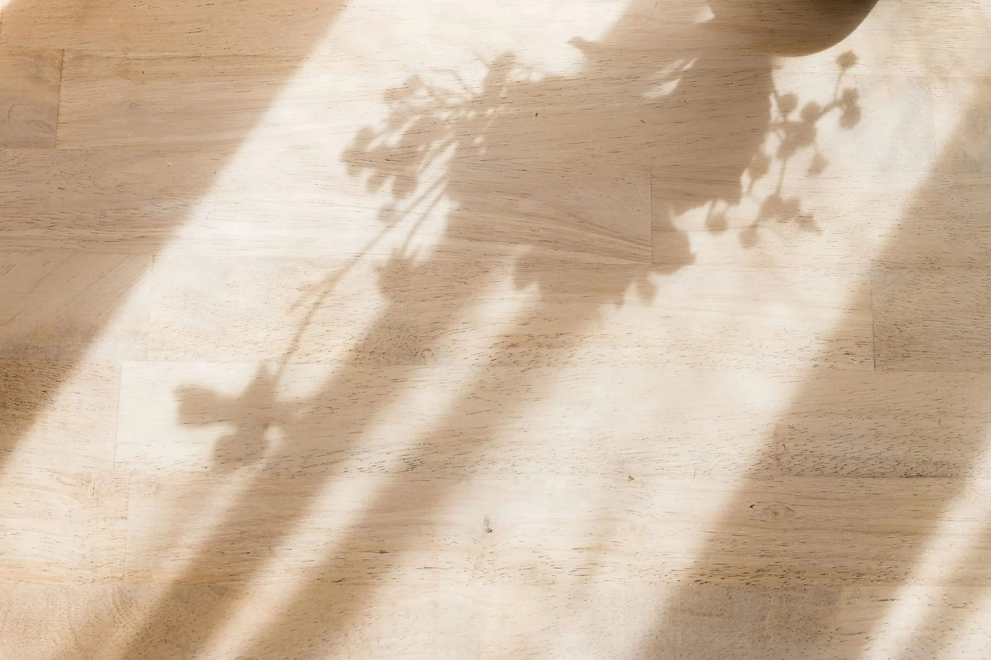 Shadow Mobile Backup-sm.jpg