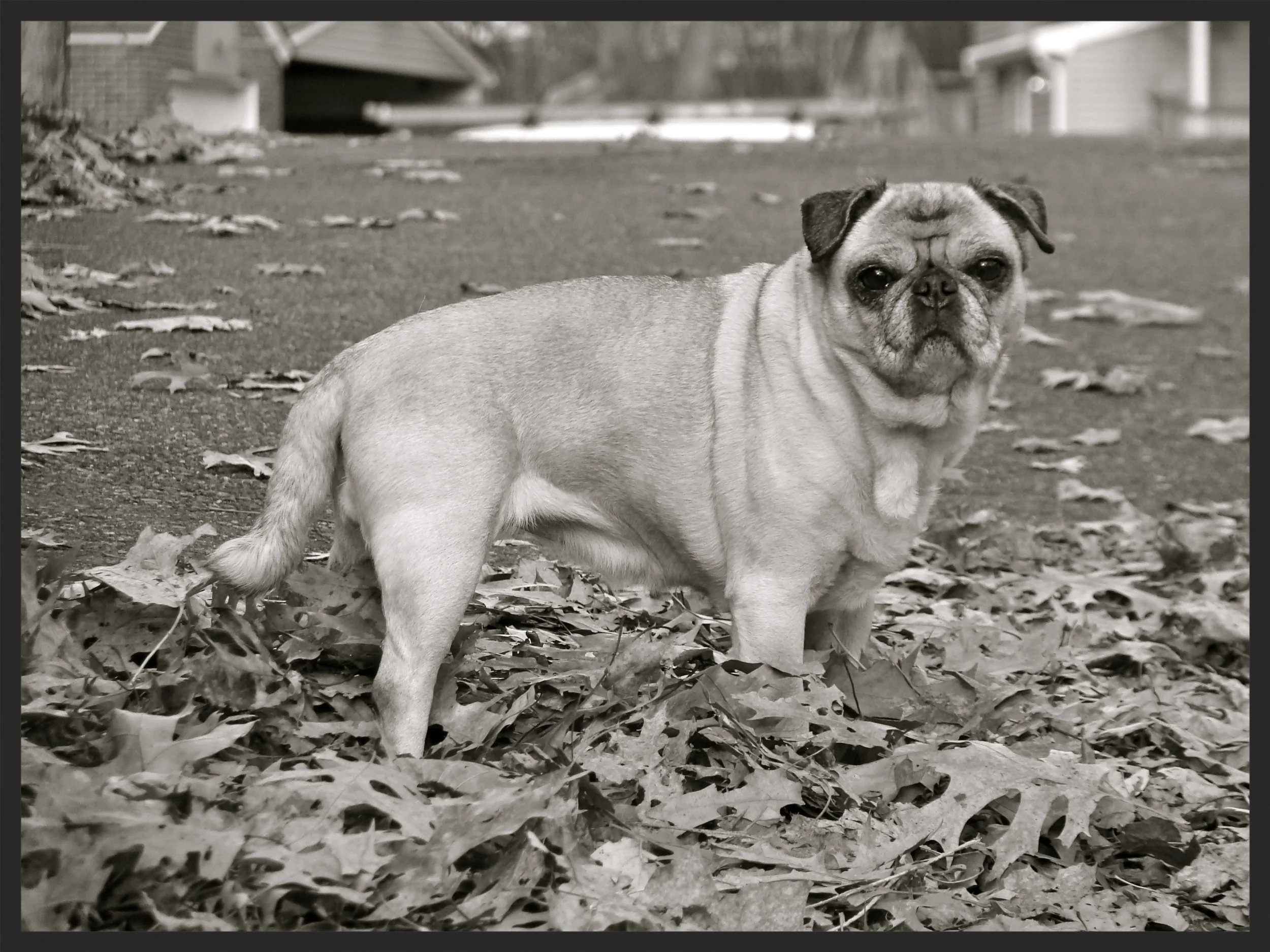 &nbsp;&nbsp;&nbsp;&nbsp;&nbsp;&nbsp;&nbsp;&nbsp;&nbsp;&nbsp;&nbsp;&nbsp;&nbsp;&nbsp;&nbsp;&nbsp;&nbsp;&nbsp;&nbsp;&nbsp;&nbsp;&nbsp;&nbsp;&nbsp;&nbsp;&nbsp;&nbsp;&nbsp;&nbsp;&nbsp;&nbsp;&nbsp; &nbsp; &nbsp; &nbsp; &nbsp;&nbsp; &nbsp;&nbsp;&nbsp;&nbs…