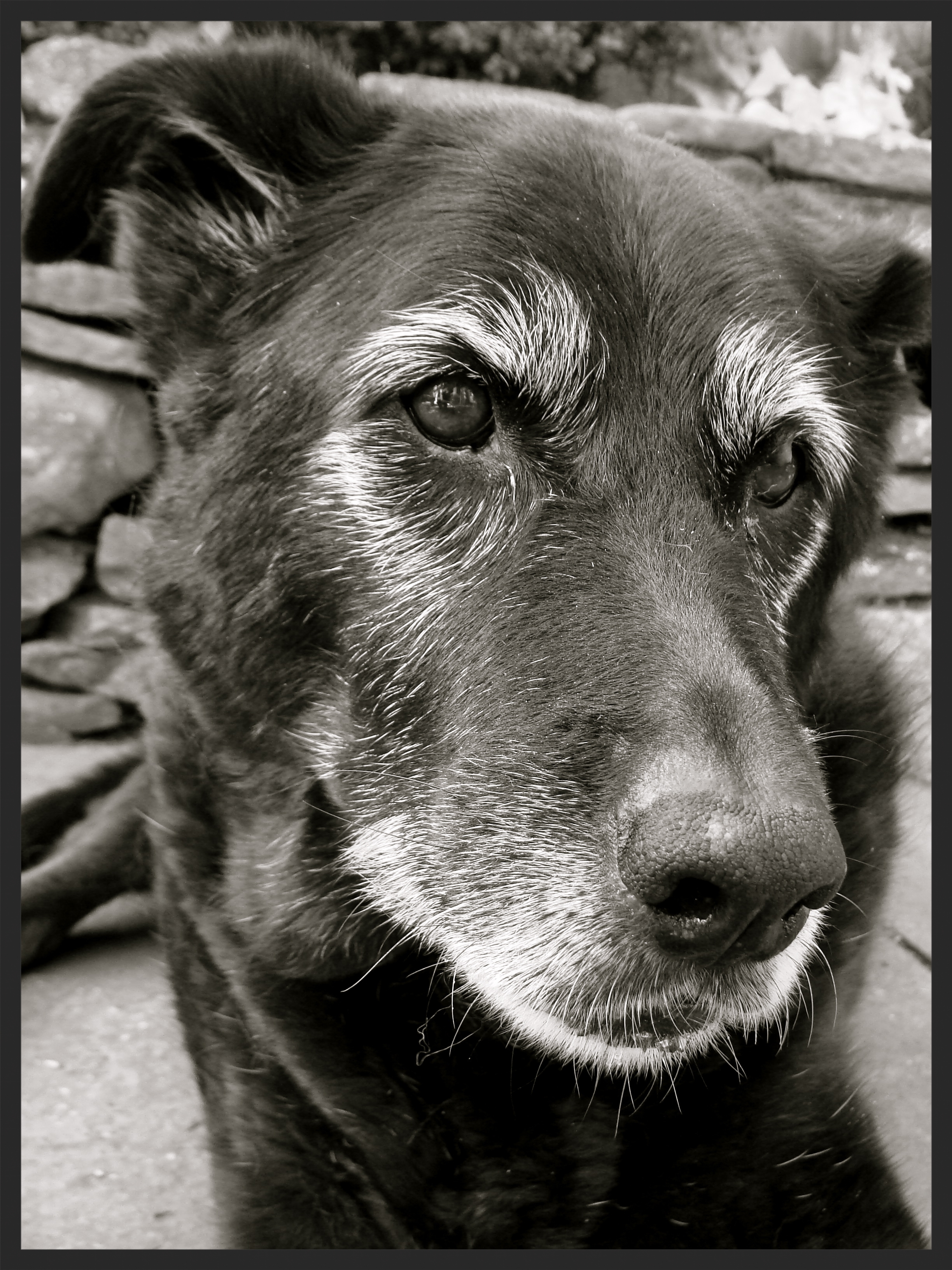 &nbsp;&nbsp;&nbsp;&nbsp;&nbsp;&nbsp;&nbsp;&nbsp;&nbsp;&nbsp;&nbsp;&nbsp;&nbsp;&nbsp;&nbsp;&nbsp;&nbsp;&nbsp;&nbsp;&nbsp;&nbsp;&nbsp;&nbsp;&nbsp;&nbsp;&nbsp;&nbsp;&nbsp; &nbsp; &nbsp; &nbsp; &nbsp; &nbsp; &nbsp; &nbsp; &nbsp; &nbsp; &nbsp;&nbsp; &nbs…