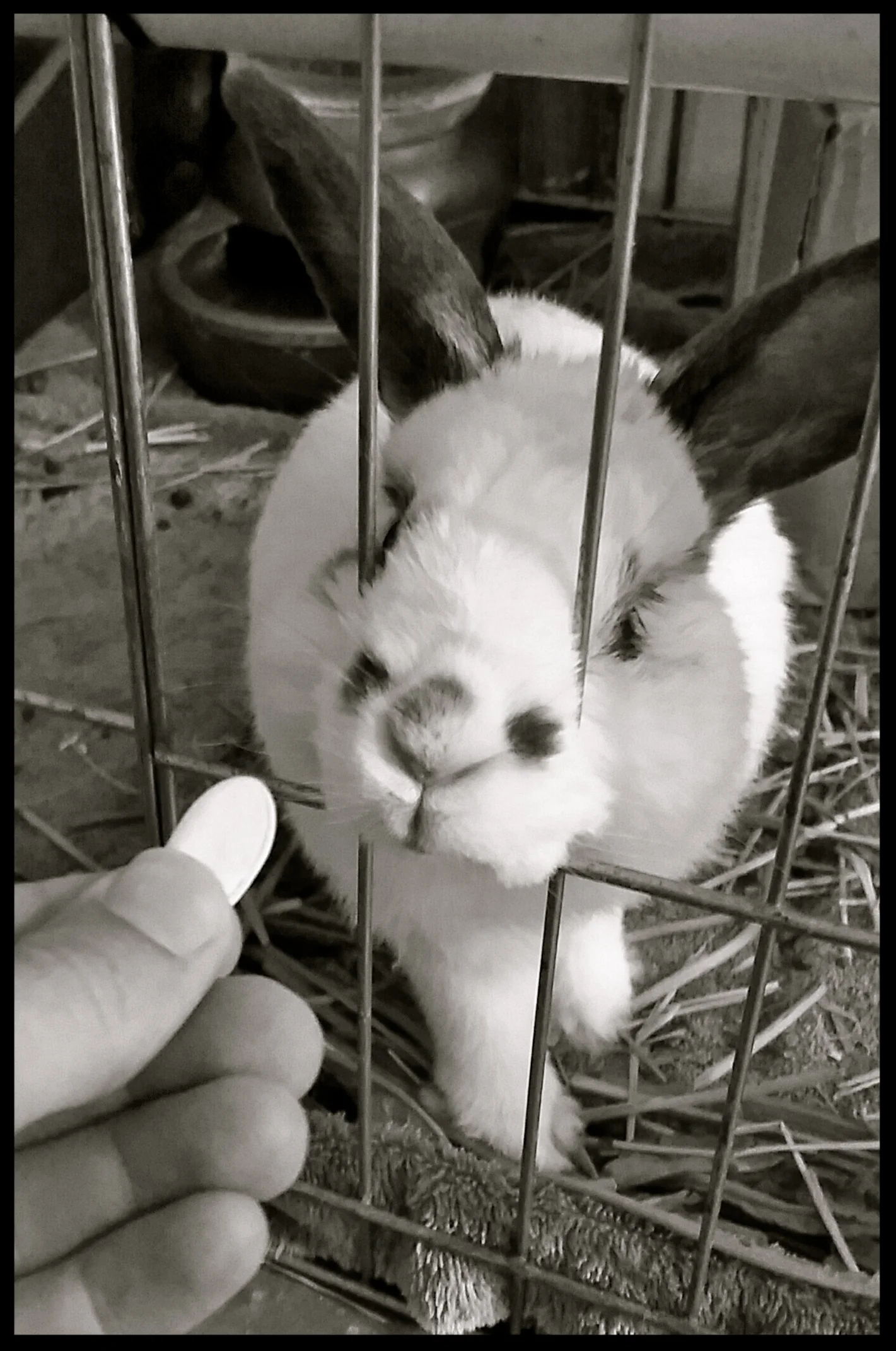 &nbsp;&nbsp;&nbsp;&nbsp;&nbsp;&nbsp;&nbsp;&nbsp;&nbsp;&nbsp;&nbsp;&nbsp;&nbsp;&nbsp;&nbsp;&nbsp;&nbsp;&nbsp;&nbsp;&nbsp;&nbsp;&nbsp;&nbsp;&nbsp;&nbsp;&nbsp;&nbsp;&nbsp;&nbsp;&nbsp;&nbsp;&nbsp;&nbsp;&nbsp;&nbsp;&nbsp;&nbsp;&nbsp;&nbsp;&nbsp;&nbsp;&nb…