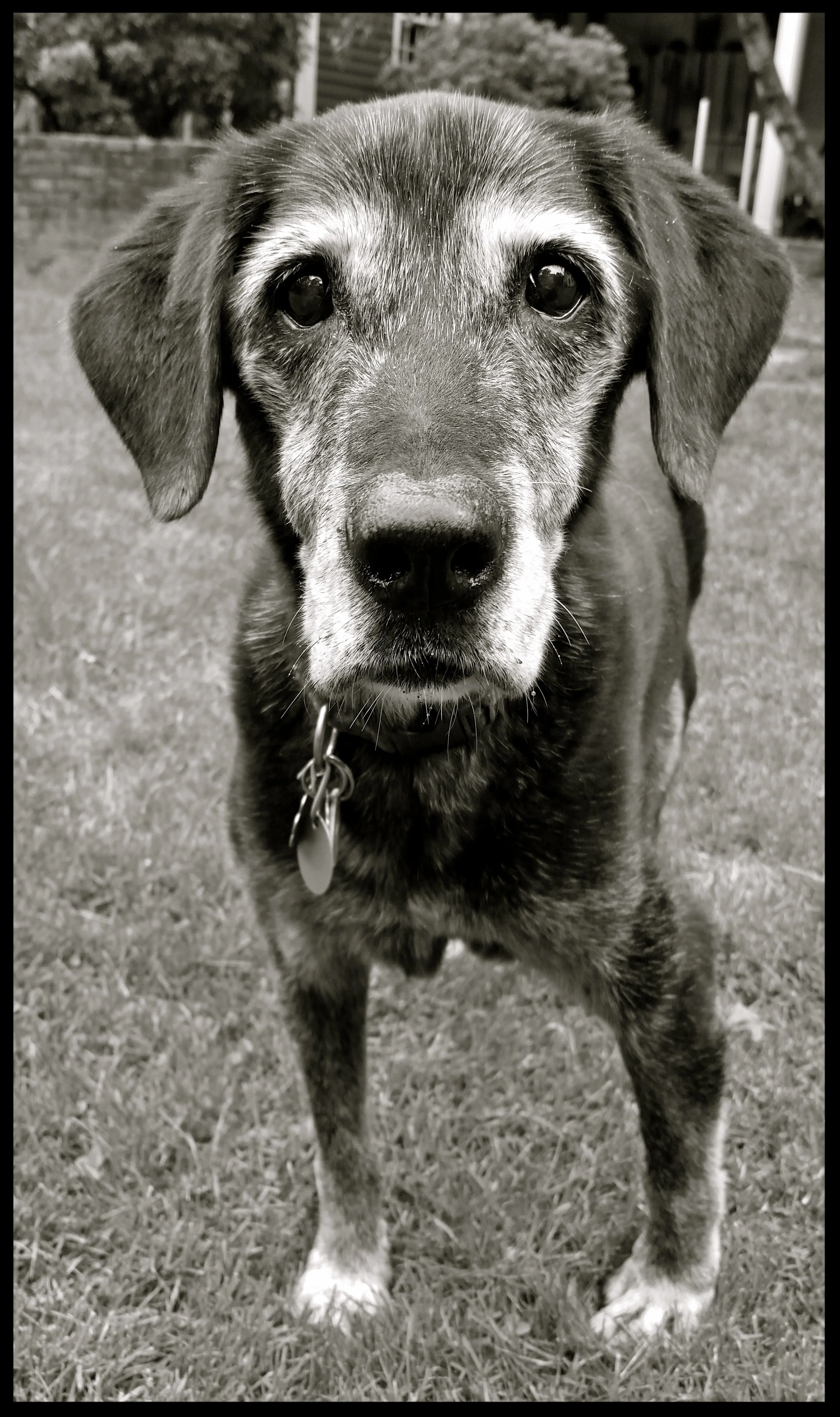 &nbsp;&nbsp;&nbsp;&nbsp;&nbsp;&nbsp;&nbsp;&nbsp;&nbsp;&nbsp;&nbsp;&nbsp;&nbsp;&nbsp;&nbsp;&nbsp;&nbsp;&nbsp;&nbsp;&nbsp;&nbsp;&nbsp;&nbsp;&nbsp;&nbsp;&nbsp;&nbsp;&nbsp;&nbsp;&nbsp;&nbsp;&nbsp;&nbsp;&nbsp;&nbsp;&nbsp;&nbsp;&nbsp;&nbsp;&nbsp;&nbsp;&nb…