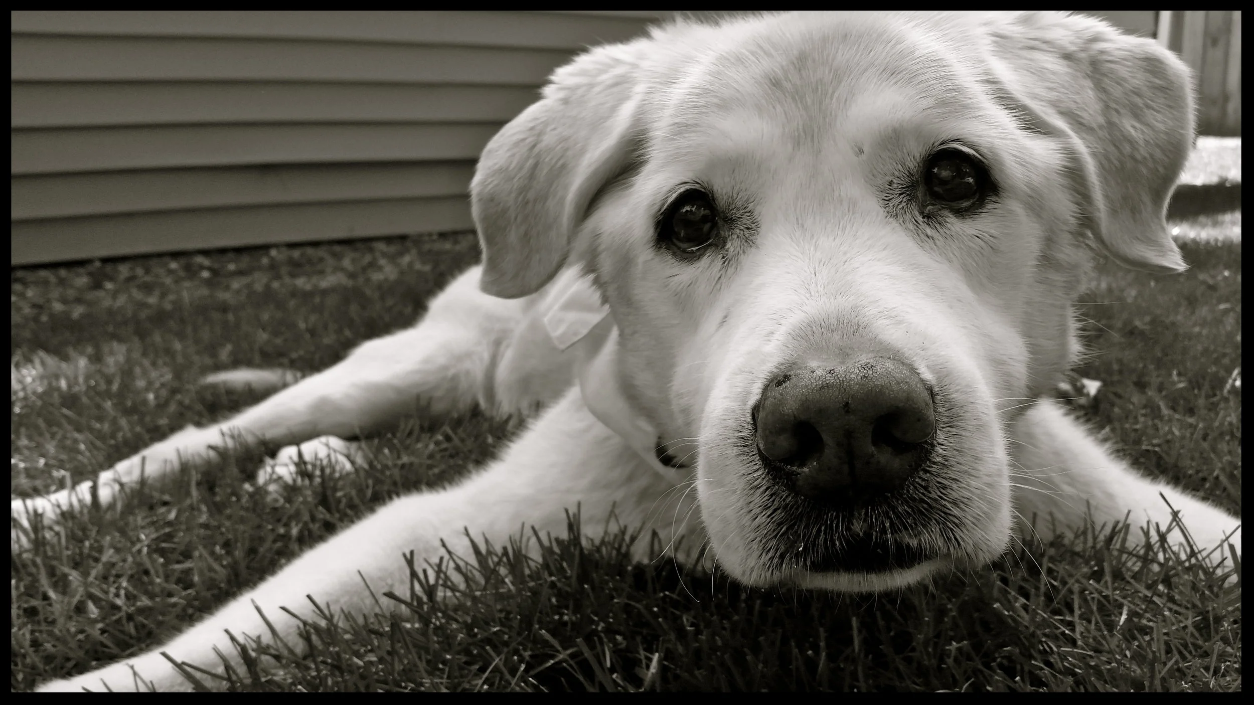 &nbsp;&nbsp;&nbsp;&nbsp;&nbsp;&nbsp;&nbsp;&nbsp;&nbsp;&nbsp;&nbsp;&nbsp;&nbsp;&nbsp;&nbsp;&nbsp;&nbsp;&nbsp;&nbsp;&nbsp;&nbsp;&nbsp;&nbsp;&nbsp;&nbsp;&nbsp;&nbsp;&nbsp;&nbsp;&nbsp;&nbsp;&nbsp;&nbsp;&nbsp;&nbsp;&nbsp;&nbsp;&nbsp;&nbsp;&nbsp;&nbsp;&nb…