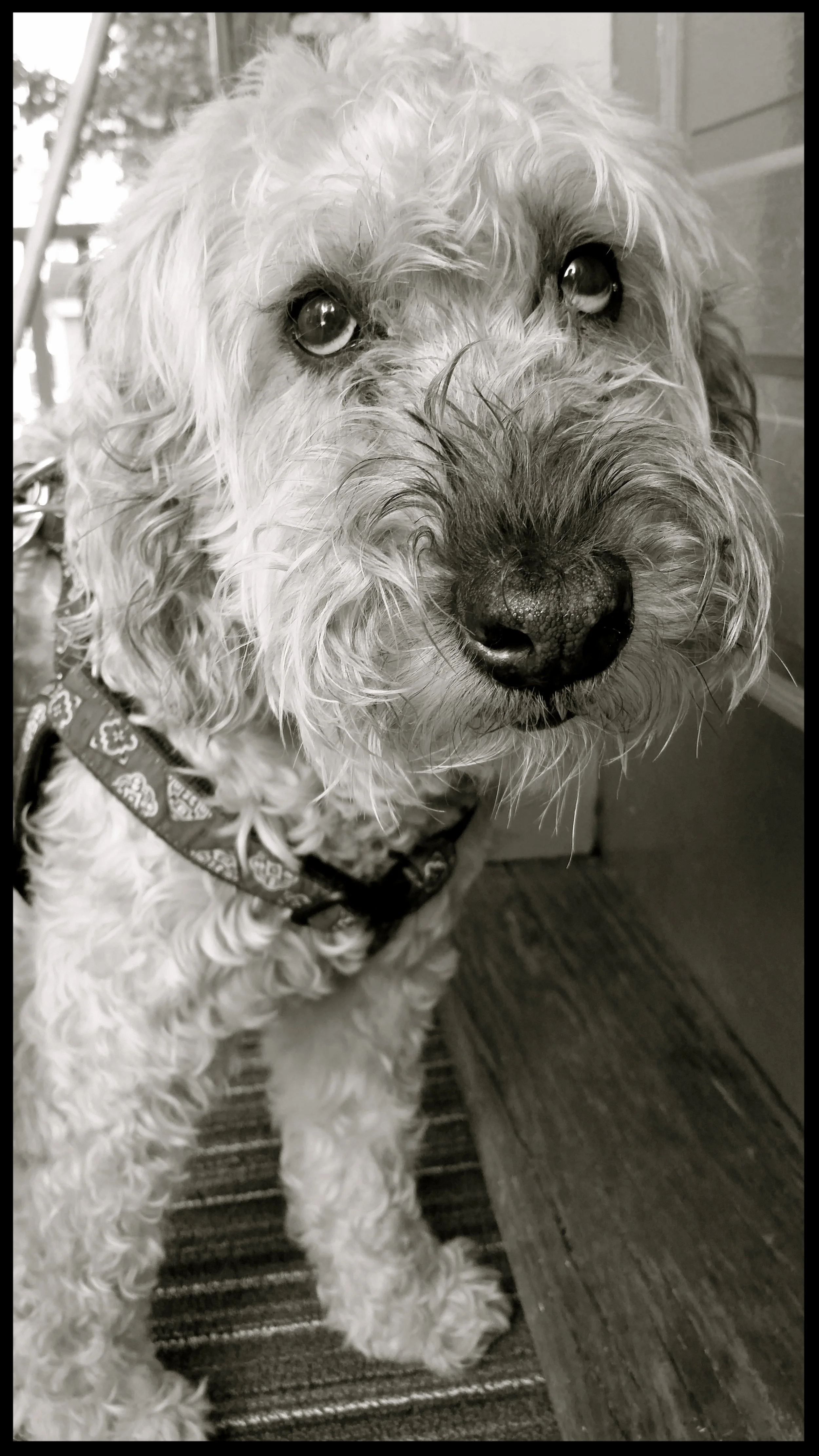 &nbsp;&nbsp;&nbsp;&nbsp;&nbsp;&nbsp;&nbsp;&nbsp;&nbsp;&nbsp;&nbsp;&nbsp;&nbsp;&nbsp;&nbsp;&nbsp;&nbsp;&nbsp;&nbsp;&nbsp;&nbsp;&nbsp;&nbsp;&nbsp;&nbsp;&nbsp;&nbsp;&nbsp;&nbsp;&nbsp;&nbsp;&nbsp;&nbsp;&nbsp;&nbsp;&nbsp;&nbsp;&nbsp;&nbsp;&nbsp;&nbsp;&nb…