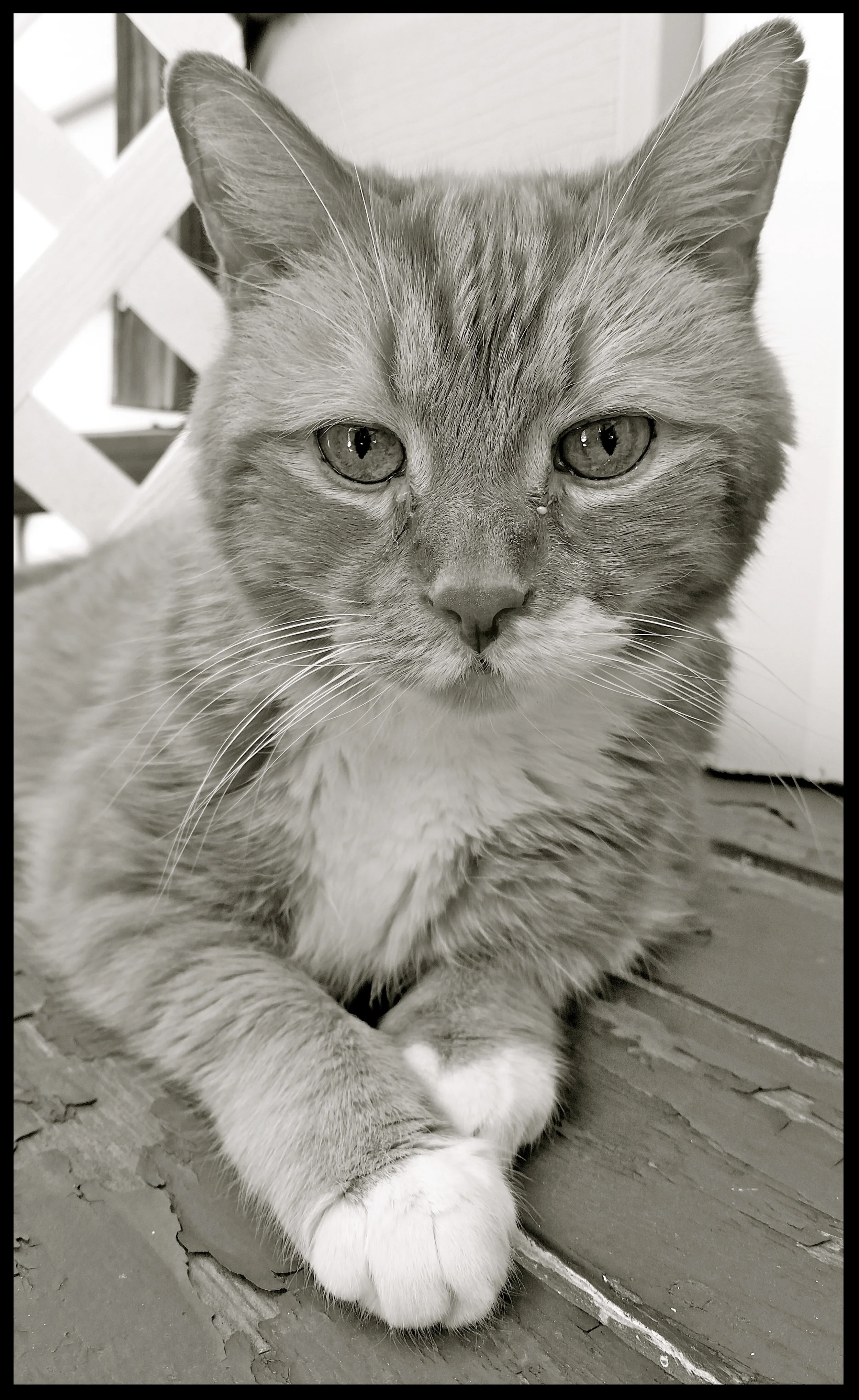 &nbsp;&nbsp;&nbsp;&nbsp;&nbsp;&nbsp;&nbsp;&nbsp;&nbsp;&nbsp;&nbsp;&nbsp;&nbsp;&nbsp;&nbsp;&nbsp;&nbsp;&nbsp;&nbsp;&nbsp;&nbsp;&nbsp;&nbsp;&nbsp;&nbsp;&nbsp;&nbsp;&nbsp;&nbsp;&nbsp;&nbsp;&nbsp;&nbsp;&nbsp;&nbsp;&nbsp;&nbsp;&nbsp;&nbsp;&nbsp;&nbsp;&nb…