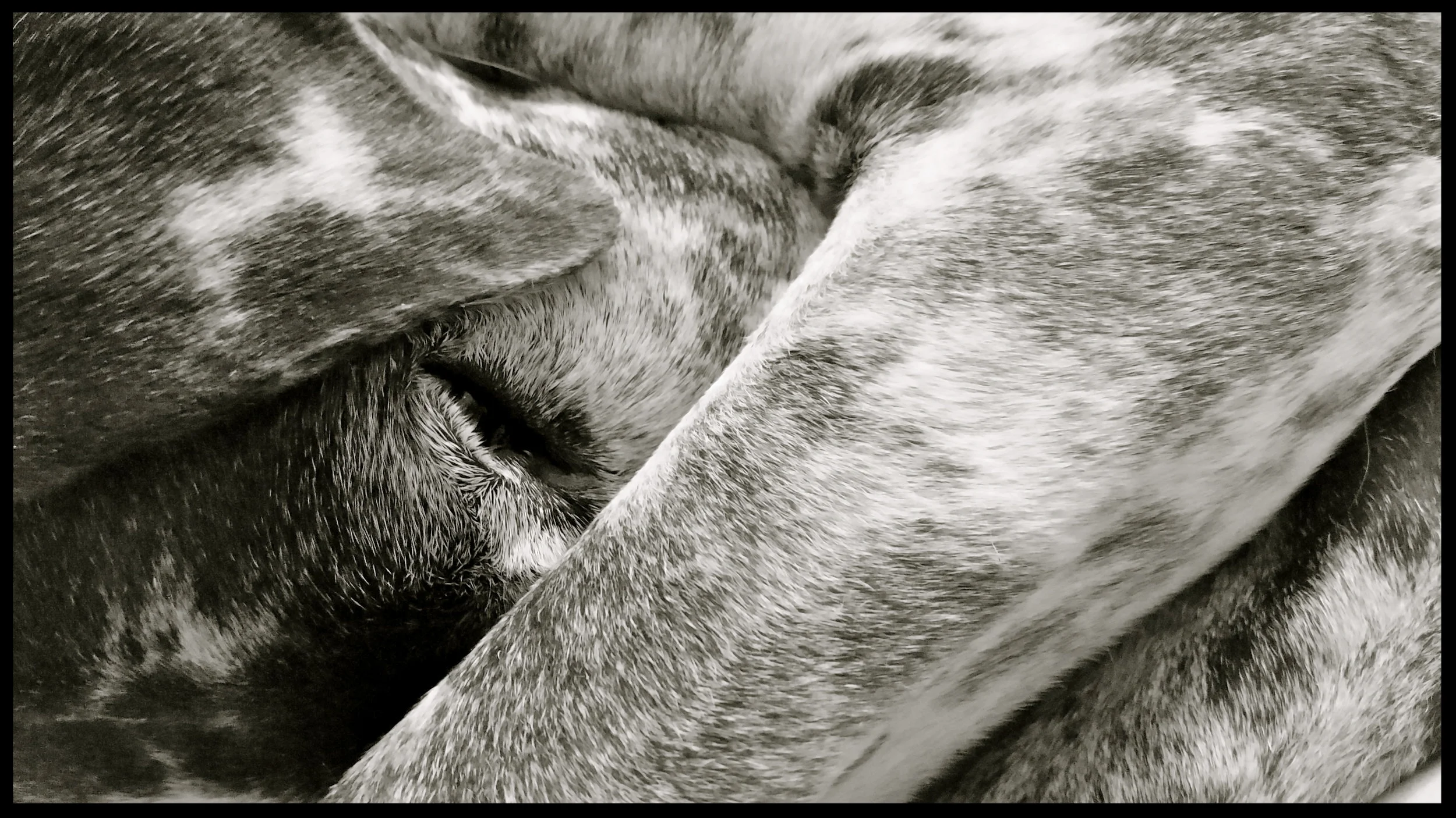 &nbsp;&nbsp;&nbsp;&nbsp;&nbsp;&nbsp;&nbsp;&nbsp;&nbsp;&nbsp;&nbsp;&nbsp;&nbsp;&nbsp;&nbsp;&nbsp;&nbsp;&nbsp;&nbsp;&nbsp;&nbsp;&nbsp;&nbsp;&nbsp;&nbsp;&nbsp;&nbsp;&nbsp;&nbsp;&nbsp;&nbsp;&nbsp;&nbsp;&nbsp;&nbsp;&nbsp;&nbsp;&nbsp;&nbsp;&nbsp;&nbsp;&nb…