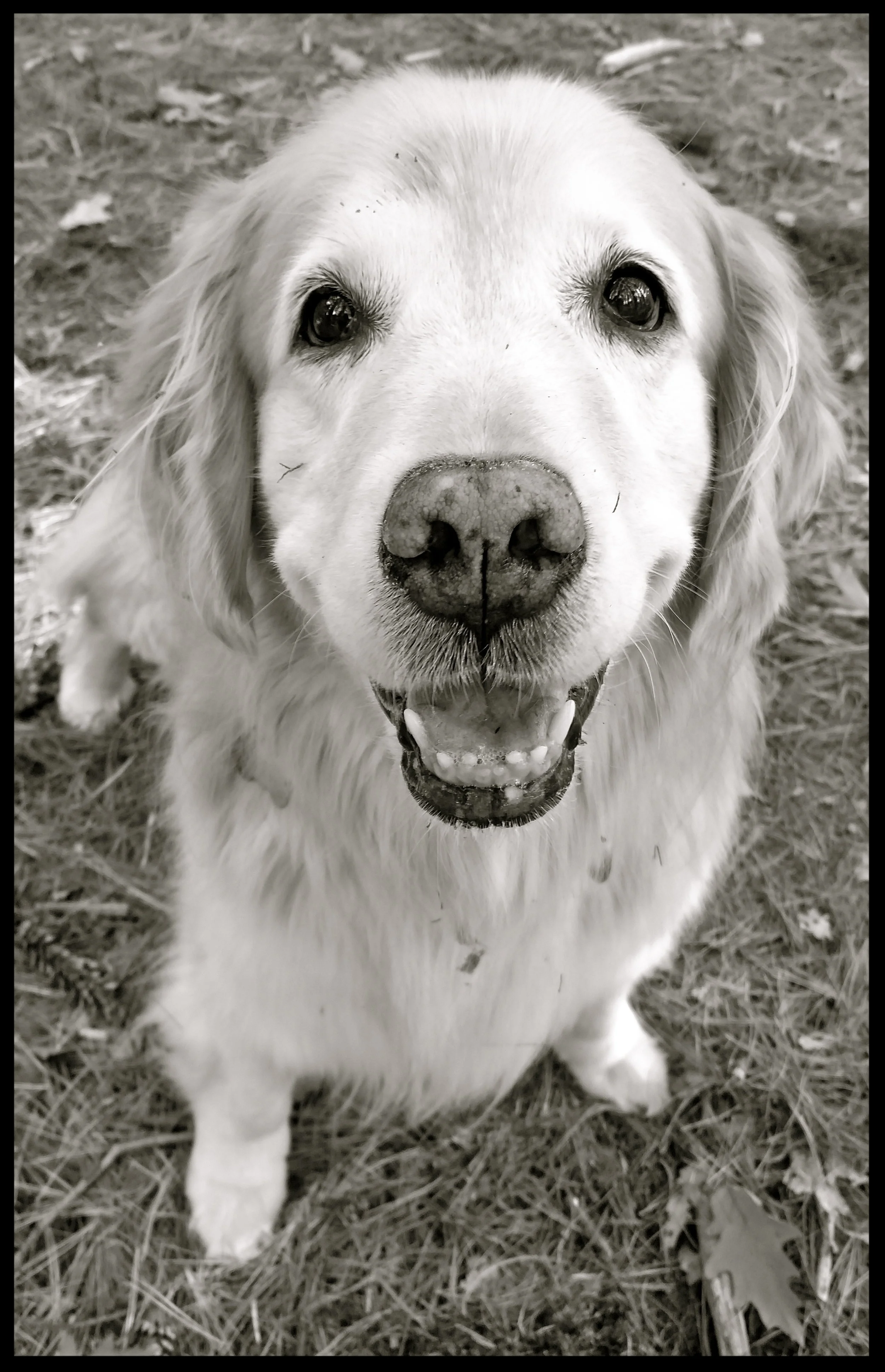 &nbsp;&nbsp;&nbsp;&nbsp;&nbsp;&nbsp;&nbsp;&nbsp;&nbsp;&nbsp;&nbsp;&nbsp;&nbsp;&nbsp;&nbsp;&nbsp;&nbsp;&nbsp;&nbsp;&nbsp;&nbsp;&nbsp;&nbsp;&nbsp;&nbsp;&nbsp;&nbsp;&nbsp;&nbsp;&nbsp;&nbsp;&nbsp;&nbsp;&nbsp;&nbsp;&nbsp;&nbsp;&nbsp;&nbsp;&nbsp;&nbsp;&nb…