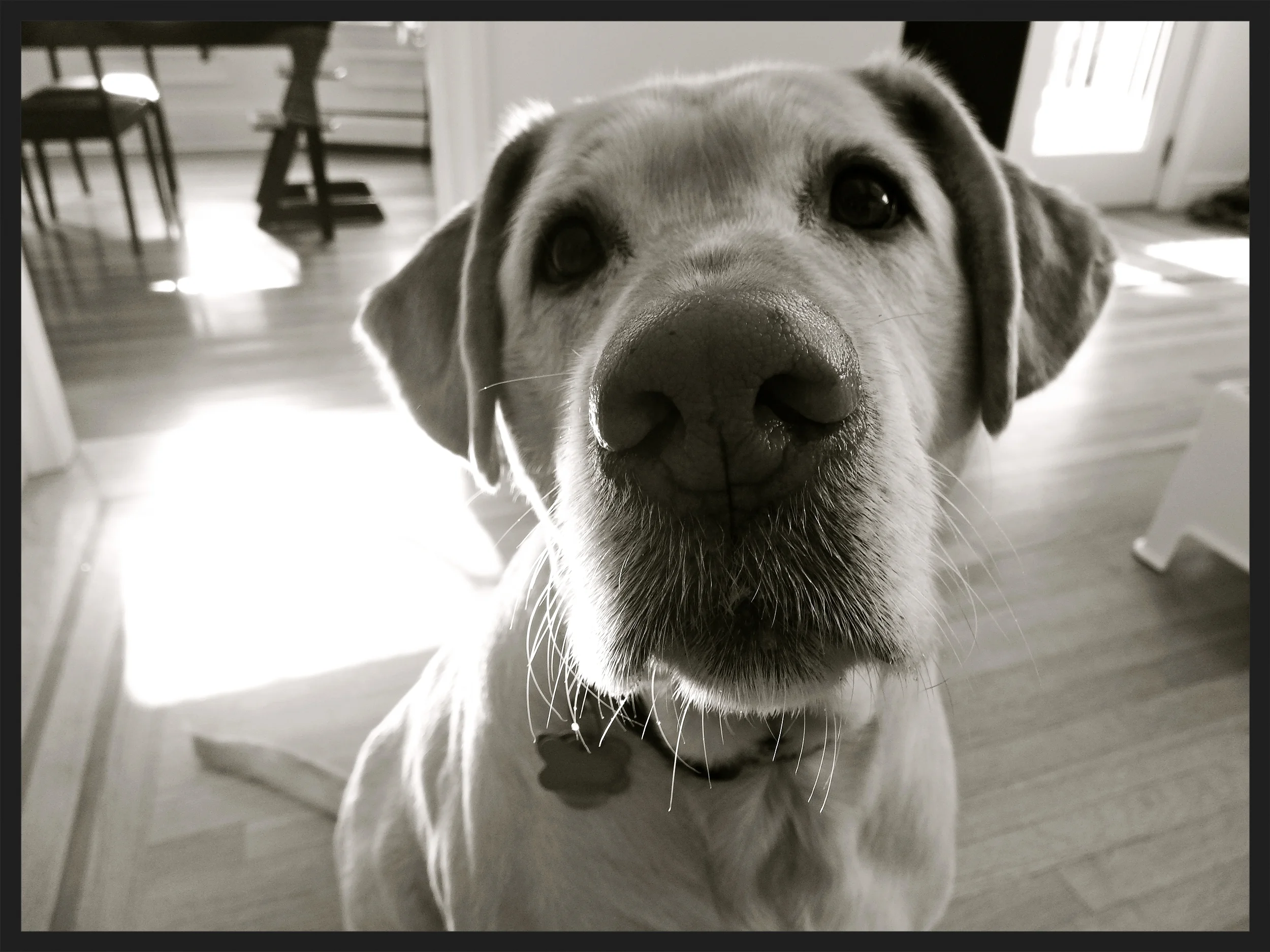 &nbsp;&nbsp;&nbsp;&nbsp;&nbsp;&nbsp;&nbsp;&nbsp;&nbsp;&nbsp;&nbsp;&nbsp;&nbsp;&nbsp;&nbsp;&nbsp;&nbsp;&nbsp;&nbsp;&nbsp;&nbsp;&nbsp;&nbsp;&nbsp;&nbsp;&nbsp;&nbsp;&nbsp;&nbsp; &nbsp; &nbsp; &nbsp;&nbsp; &nbsp;&nbsp;&nbsp;&nbsp;&nbsp; &nbsp; &nbsp;&nb…